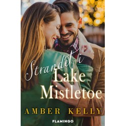 Strandet i Lake Mistletoe