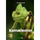 Kamæleoner