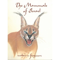 The Mammals of Israel