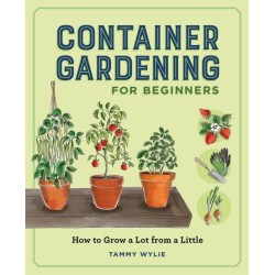 Container Gardening for Beginners: How to Grow a Lot from a Little