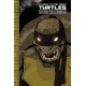 Teenage Mutant Ninja Turtles: The IDW Collection Volume 9