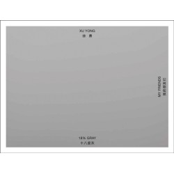 Xu Yong: 18% GRAY / MY FRIENDS