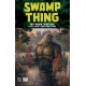 Swamp Thing by Rick Veitch Book Three: Time Upon a Once