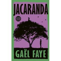 Jacaranda
