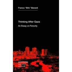 Thinking after Gaza: An Essay on Ferocity