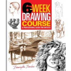 6-Week Drawing Course: A Professional Guide for Artists