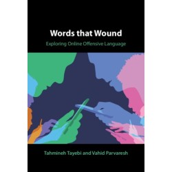 Words that Wound: Exploring Online Offensive Language