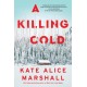 A Killing Cold: A Novel