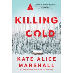 A Killing Cold: A Novel