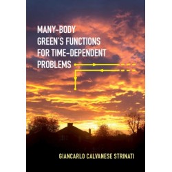 Many-Body Green's Functions for Time-Dependent Problems