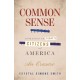 Common Sense (1776), Addressed to Today's Citizens of America: An Erasure