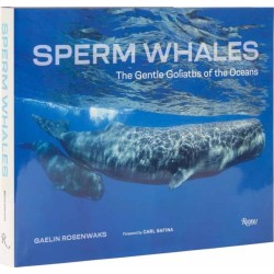 Sperm Whales: The Gentle Goliaths of the Ocean