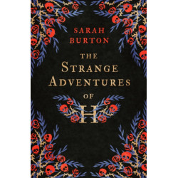 The Strange Adventures of H: the enchanting rags-to-riches story set during the Great Plague of London
