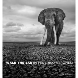 Walk the Earth: Photographs of Africa's Last Great Elephants