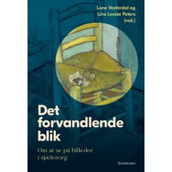 Det forvandlende blik: Om at se på billeder i sjælesorg