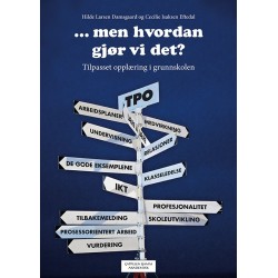 ...men hvordan gjør vi det? : tiilpasset opplæring i grunnskolen