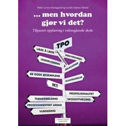 -men hvordan gjør vi det? : tilpasset opplæring i videregående skole