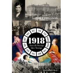 1918 : året då Sverige blev Sverige