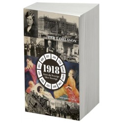 1918 : året då Sverige blev Sverige