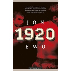 1920 : en roman om det som kunne ha skjedd