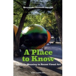 A place to know : aesthetic meaning in recent visual art