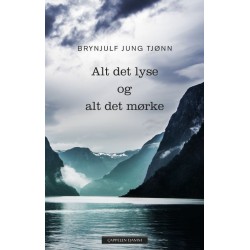 Alt det lyse og alt det mørke : roman