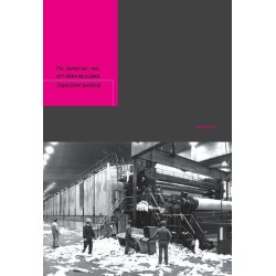 Att göra skillnad : ingenjörer berättar