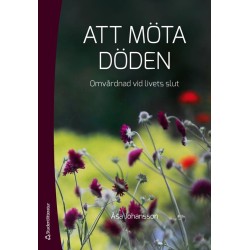 Att möta döden : omvårdnad vid livets slut