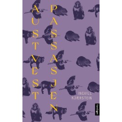 Austvestpassasjen : roman