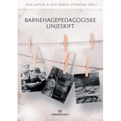 Barnehagepedagogiske linjeskift