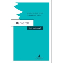 Barnerett i et nøtteskall