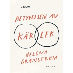 Betydelsen av kärlek : roman