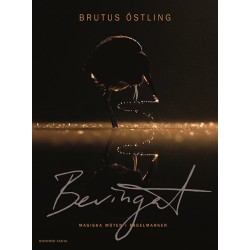 Bevingat : magiska möten i fågelmarken