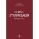Bevis i straffesaker : utvalgte emner