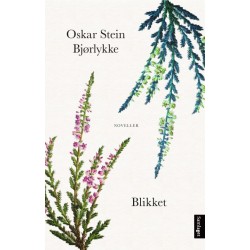 Blikket : noveller