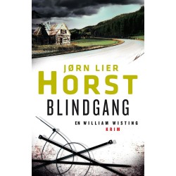 Blindgang : en William Wisting krim