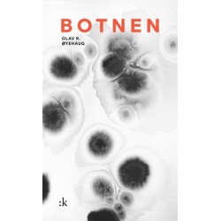 Botnen : forteljingar