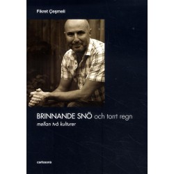 Brinnande snö och torrt regn : mellan två kulturer