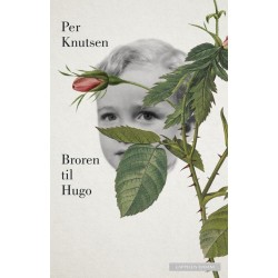 Broren til Hugo : roman