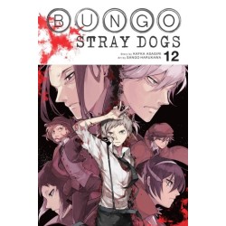 Bungo Stray Dogs, Vol. 12 (PB)