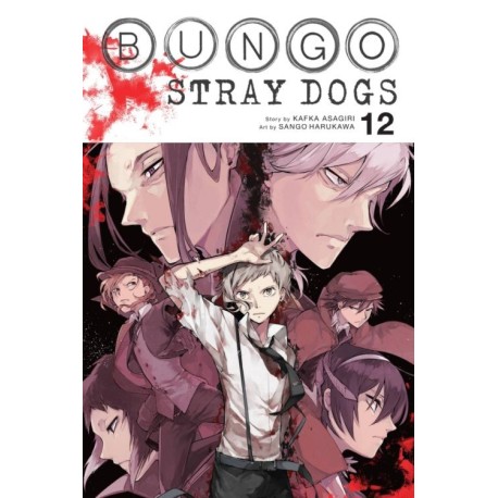 Bungo Stray Dogs, Vol. 12 (PB)