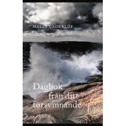 Dagbok från ditt försvinnande