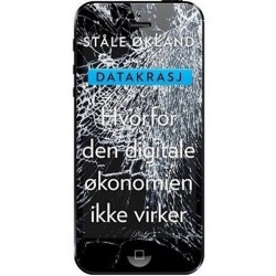 Datakrasj : hvorfor den digitale økonomien ikke virker