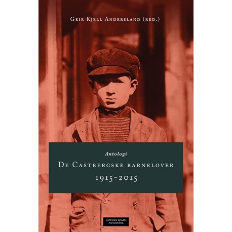 De Castbergske barnelover 1915-2015