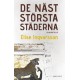 De näst största städerna : en berättelse