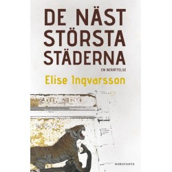 De näst största städerna : en berättelse