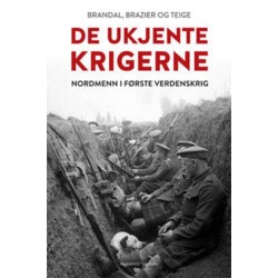 De ukjente krigerne : nordmenn i første verdenskrig