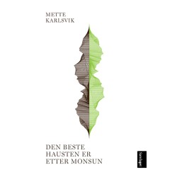 Den beste hausten er etter monsun : roman