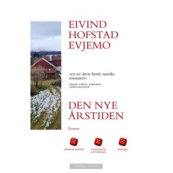 Den nye årstiden : roman