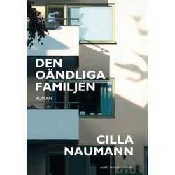 Den oändliga familjen : roman